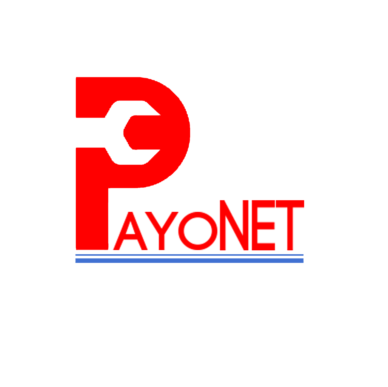PayoNET – Su aliado en soporte